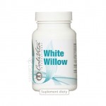 White Willow